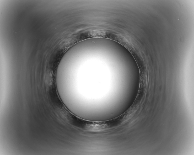 X0000087050323200705021201