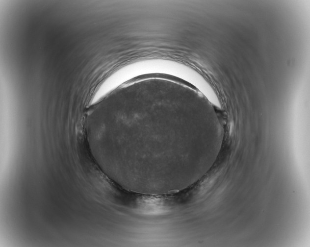 X0000087050325200705021201