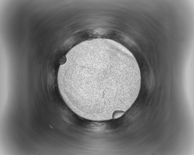 X0000087050328200705021201