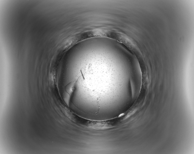 X0000087050329200705021201