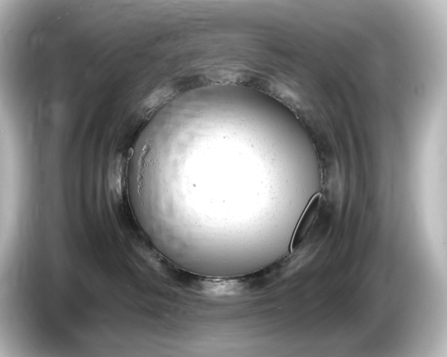 X0000087050334200705021201