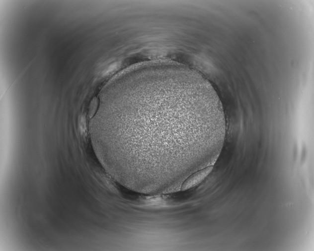 X0000087050335200705021201