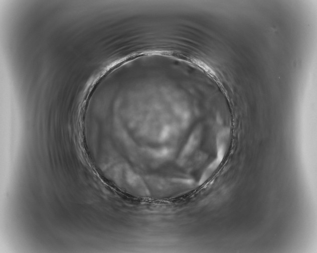 X0000087050337200705021201