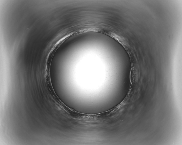 X0000087050338200705021201