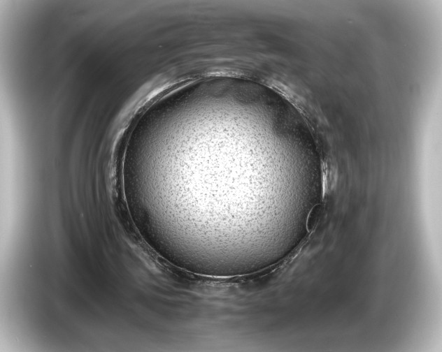 X0000087050339200705021201