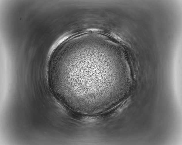 X0000087050341200705021201