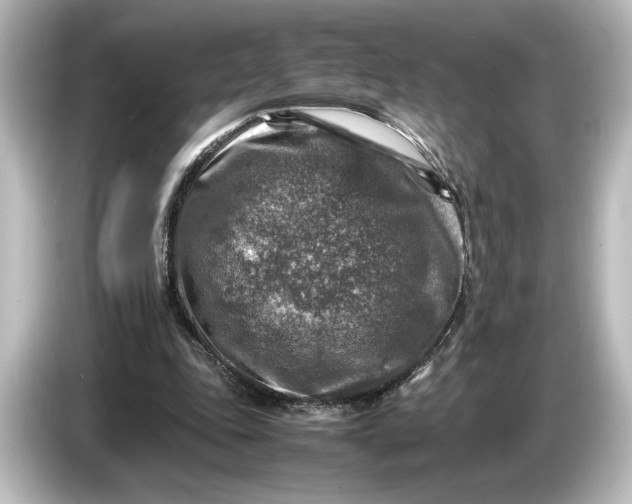 X0000087050343200705021201