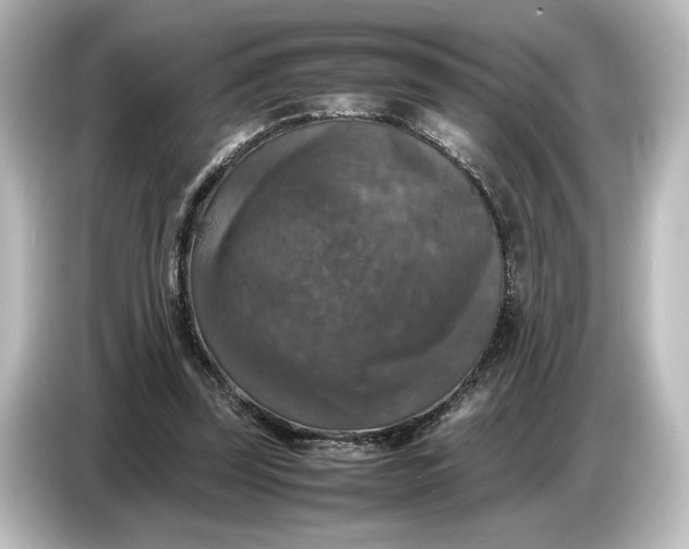 X0000087050347200705021201