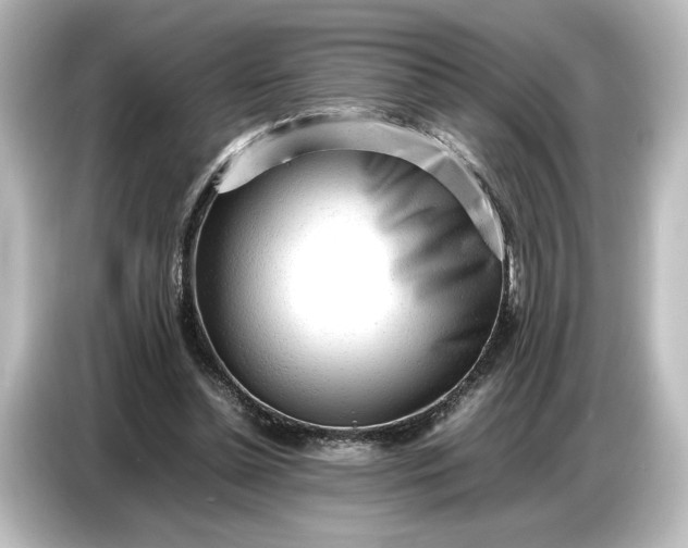 X0000087050348200705021201