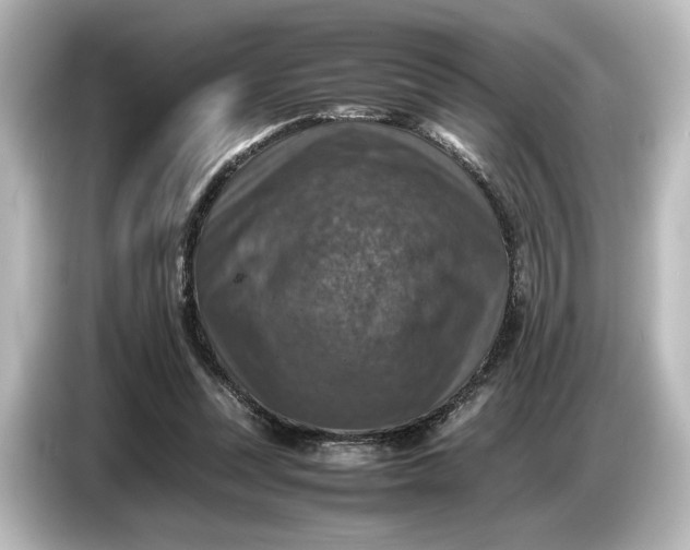 X0000087050351200705021201