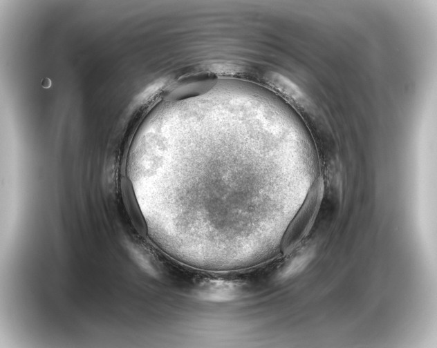 X0000087050352200705021201