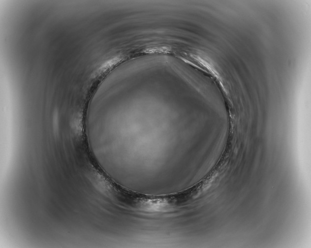 X0000087050353200705021201