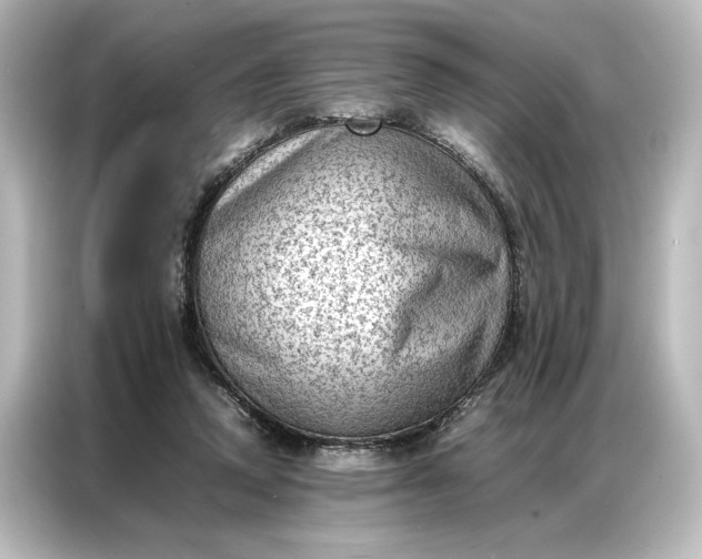 X0000087050354200705021201