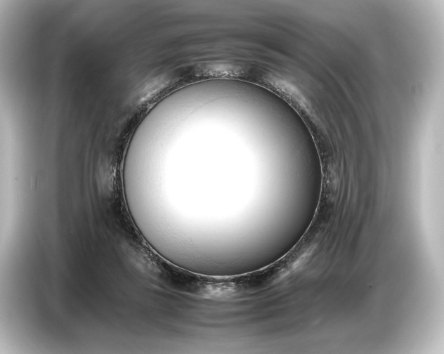 X0000087050355200705021201