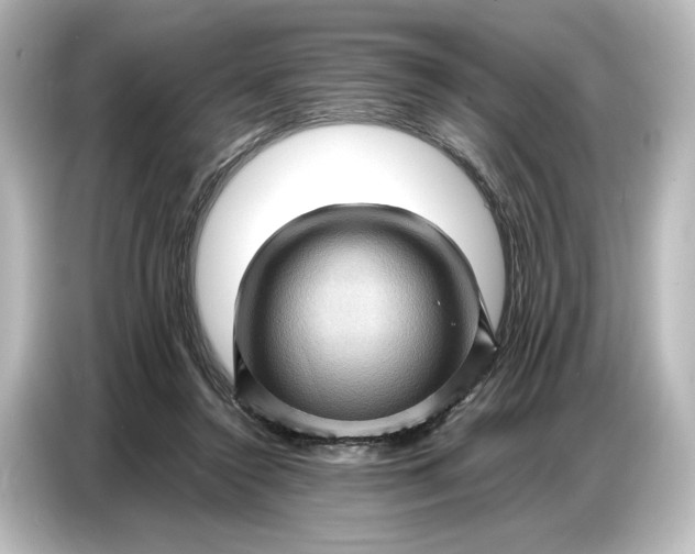 X0000087050356200705021201