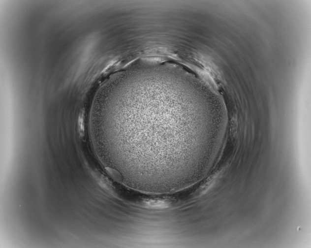 X0000087050358200705021201