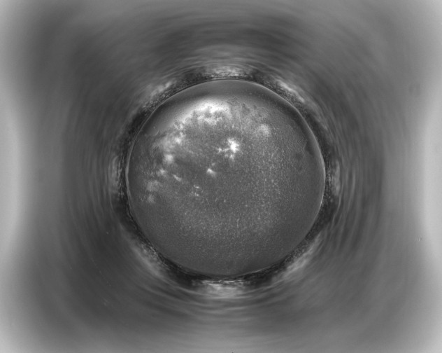 X0000087050359200705021201