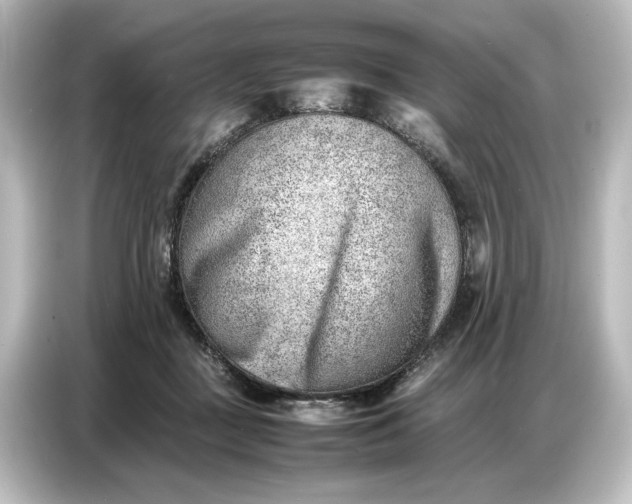 X0000087050363200705021201