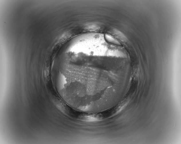 X0000087050365200705021201