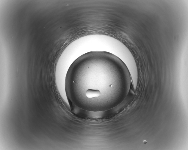 X0000087050368200705021201