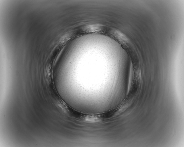 X0000087050373200705021201