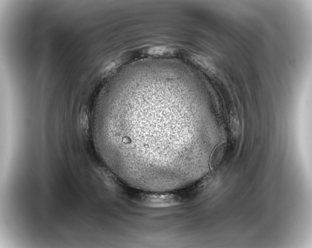 X0000087050375200705021201