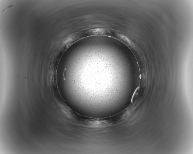 X0000087050379200705021201