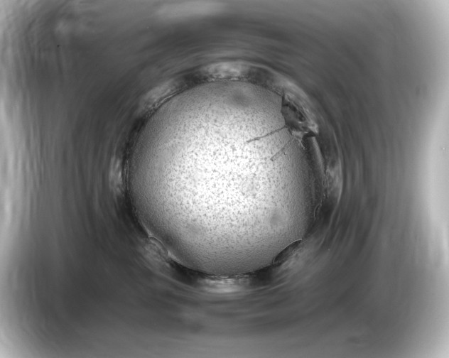 X0000087050381200705021201