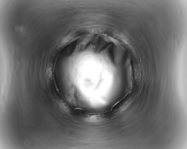 X0000087050382200705021201