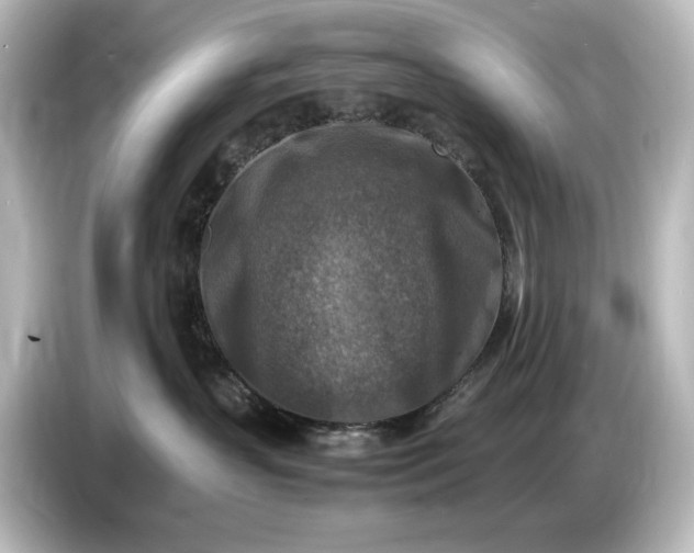 X0000087050383200705021201