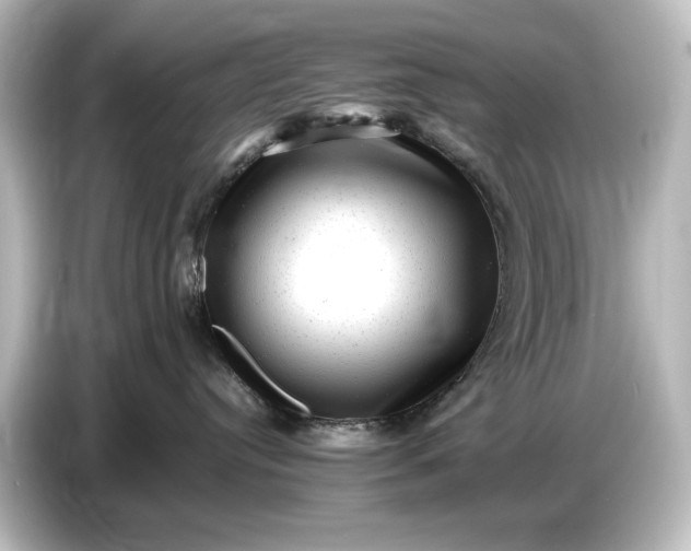 X0000087050384200705021201