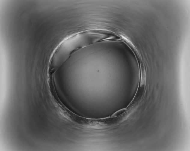 X0000087050387200705021201