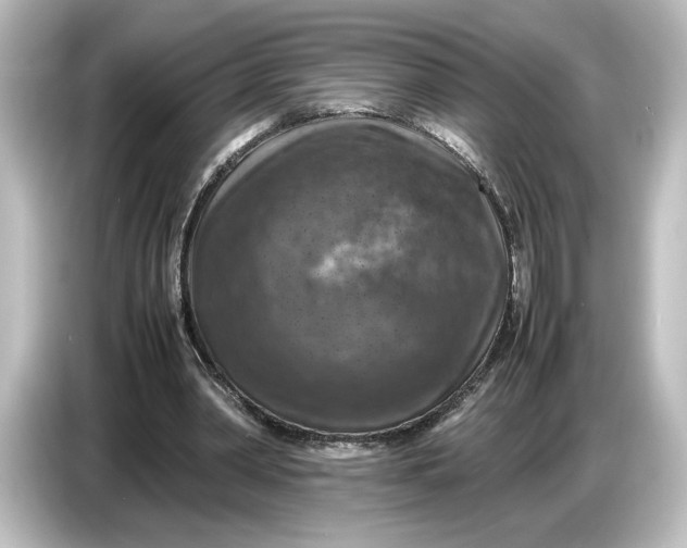 X0000087050390200705021201