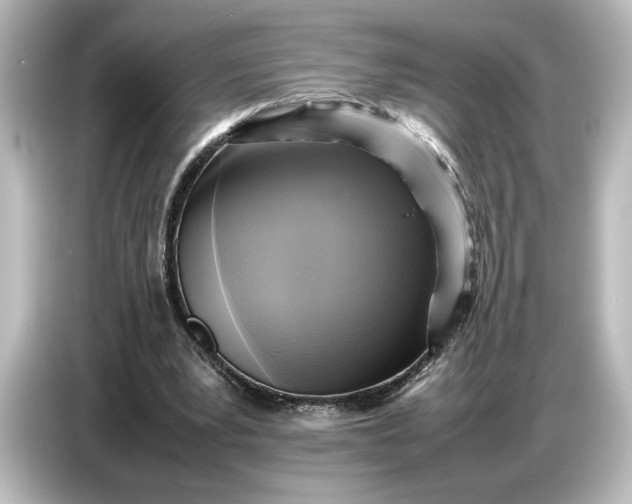 X0000087050391200705021201