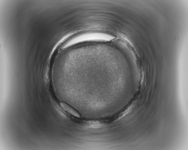 X0000087050392200705021201