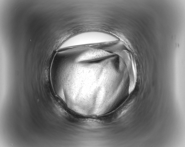 X0000087050393200705021201