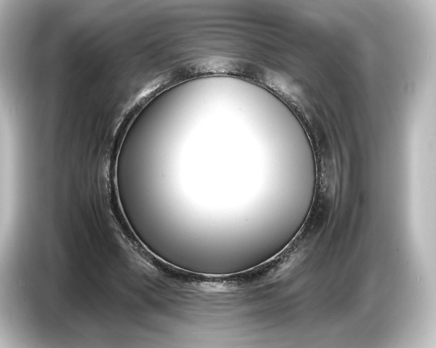 X0000087050394200705021201