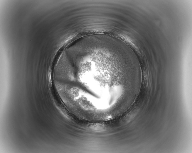 X0000087050398200705021200