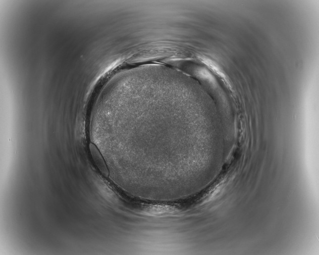 X0000087050399200705021200