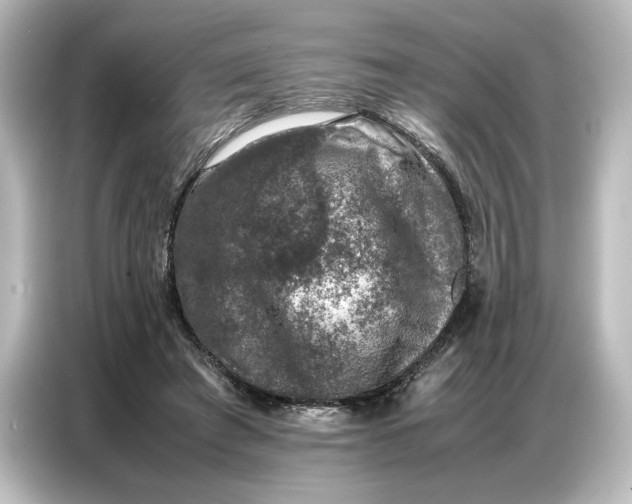 X0000087050401200705021200