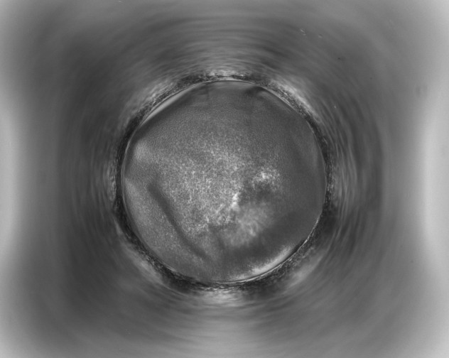 X0000087050402200705021200