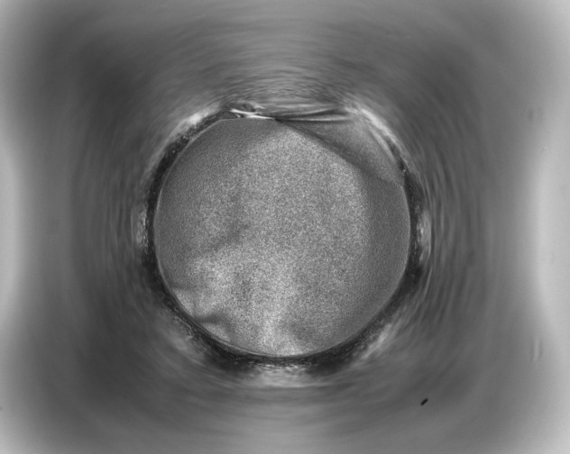 X0000087050403200705021200