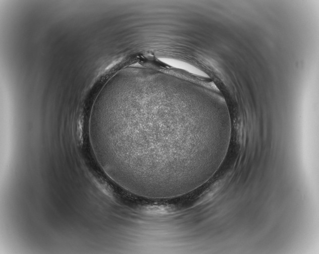 X0000087050404200705021200