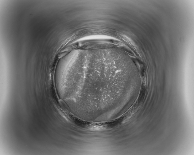 X0000087050405200705021200