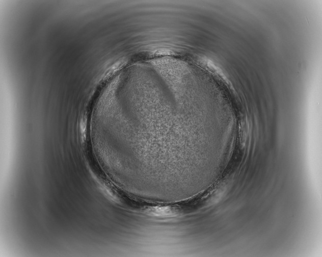 X0000087050406200705021200