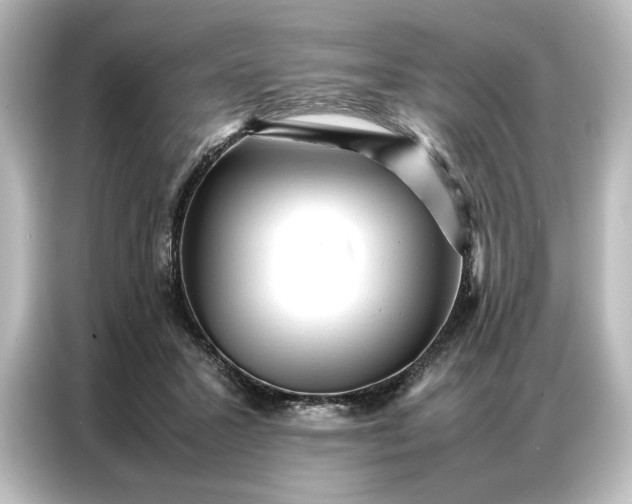 X0000087050407200705021200