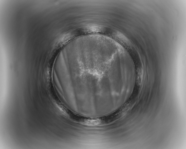 X0000087050410200705021200