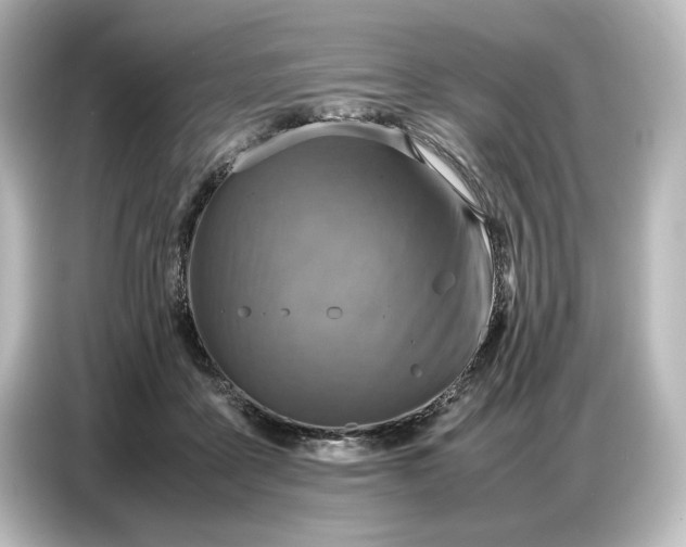 X0000087050411200705021200