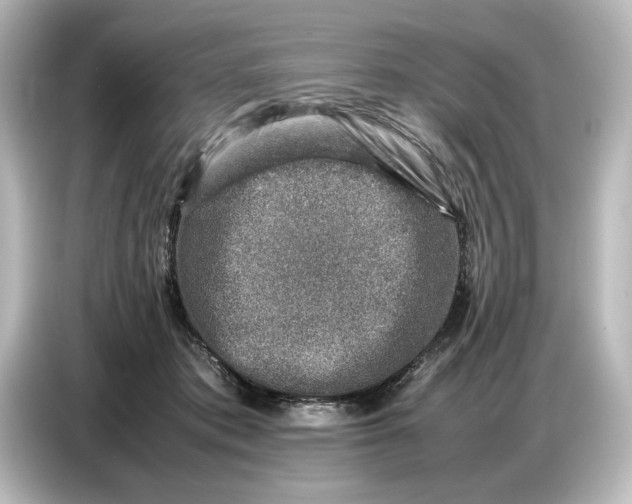 X0000087050413200705021200