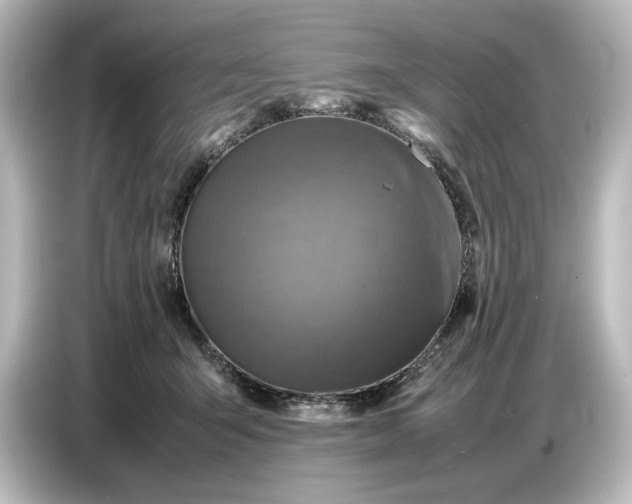 X0000087050415200705021200